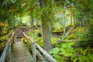hiking-vcc